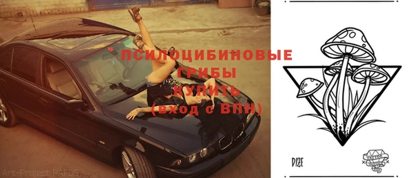 стафф Белокуриха