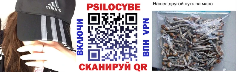 Галлюциногенные грибы Psilocybe  Павловск 